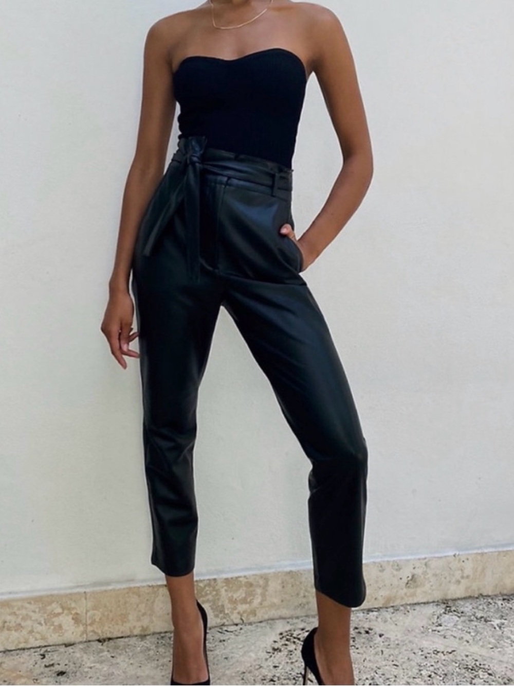 Aritzia Babaton Vegan Leather Belted Pants